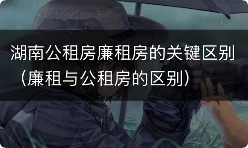 湖南公租房廉租房的关键区别（廉租与公租房的区别）