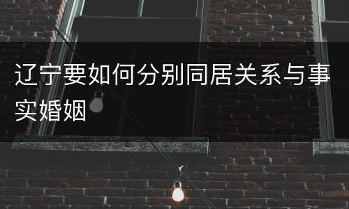 辽宁要如何分别同居关系与事实婚姻