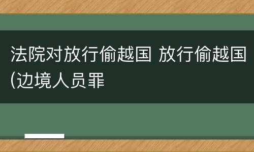 法院对放行偷越国 放行偷越国(边境人员罪