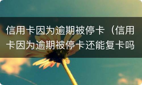 信用卡因为逾期被停卡（信用卡因为逾期被停卡还能复卡吗）
