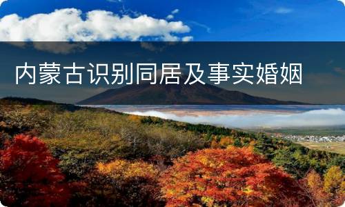 内蒙古识别同居及事实婚姻