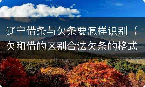 辽宁借条与欠条要怎样识别（欠和借的区别合法欠条的格式图片）