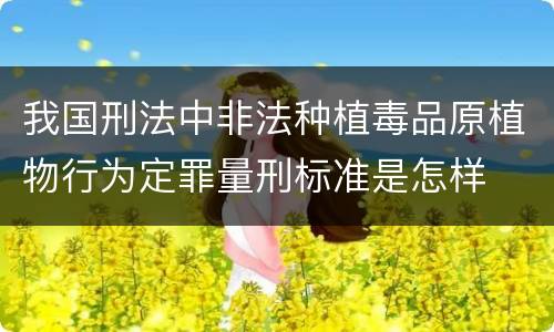 我国刑法中非法种植毒品原植物行为定罪量刑标准是怎样