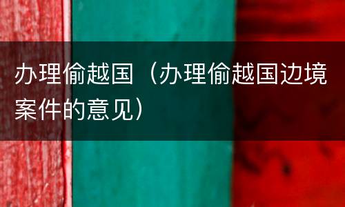 办理偷越国（办理偷越国边境案件的意见）