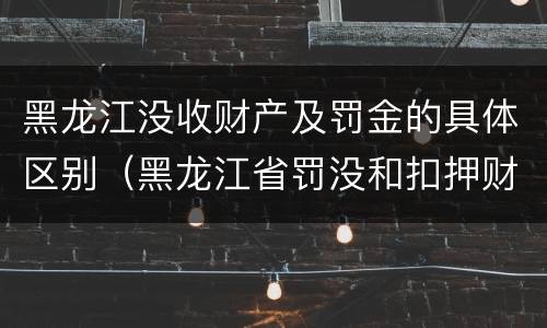 黑龙江没收财产及罚金的具体区别（黑龙江省罚没和扣押财物管理条例）