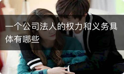 一个公司法人的权力和义务具体有哪些