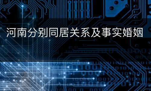 河南分别同居关系及事实婚姻