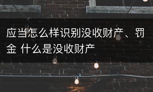 应当怎么样识别没收财产、罚金 什么是没收财产
