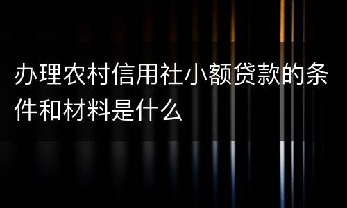 办理农村信用社小额贷款的条件和材料是什么
