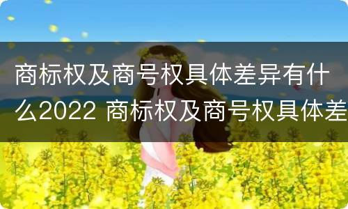 商标权及商号权具体差异有什么2022 商标权及商号权具体差异有什么2022规定