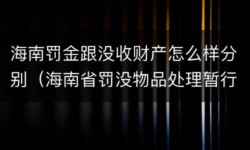 海南罚金跟没收财产怎么样分别（海南省罚没物品处理暂行办法）
