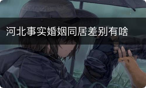河北事实婚姻同居差别有啥
