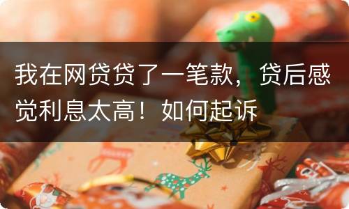 我在网贷贷了一笔款，贷后感觉利息太高！如何起诉