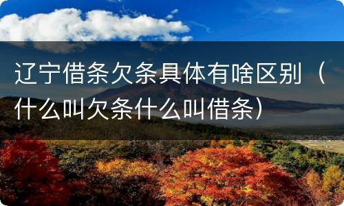辽宁借条欠条具体有啥区别（什么叫欠条什么叫借条）