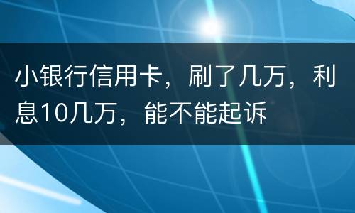 小银行信用卡，刷了几万，利息10几万，能不能起诉