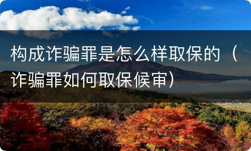 构成诈骗罪是怎么样取保的（诈骗罪如何取保候审）