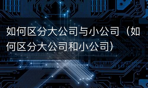 如何区分大公司与小公司（如何区分大公司和小公司）