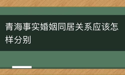 青海事实婚姻同居关系应该怎样分别