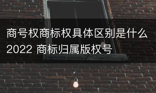 商号权商标权具体区别是什么2022 商标归属版权号