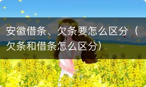 安徽借条、欠条要怎么区分（欠条和借条怎么区分）