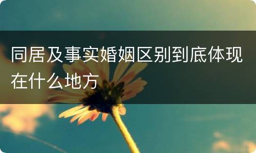 同居及事实婚姻区别到底体现在什么地方