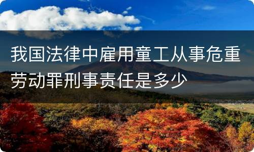 我国法律中雇用童工从事危重劳动罪刑事责任是多少