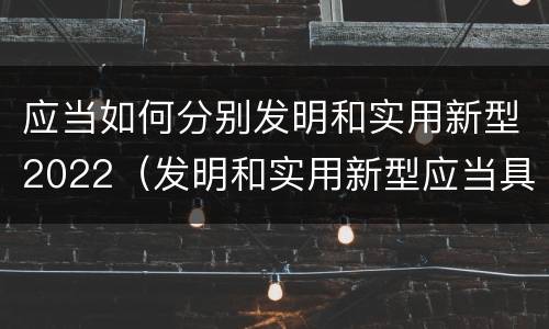 应当如何分别发明和实用新型2022（发明和实用新型应当具备）