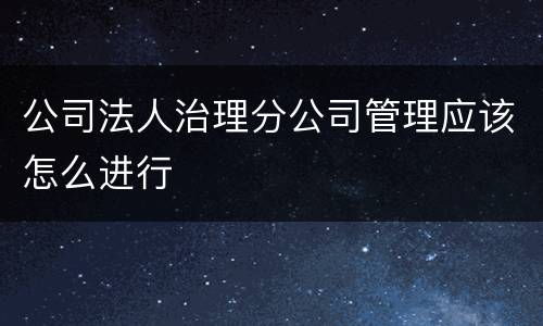 公司法人治理分公司管理应该怎么进行