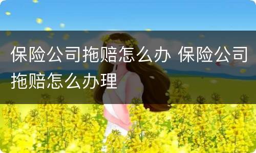 保险公司拖赔怎么办 保险公司拖赔怎么办理