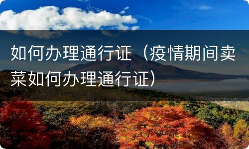 如何办理通行证（疫情期间卖菜如何办理通行证）