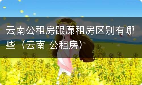 云南公租房跟廉租房区别有哪些（云南 公租房）