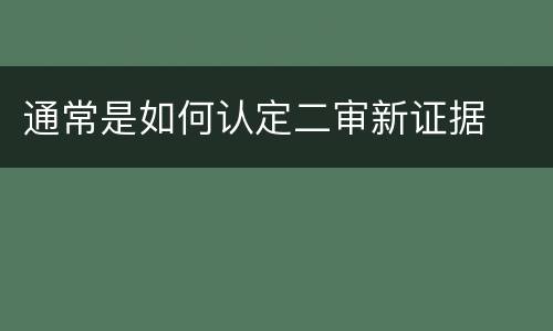 通常是如何认定二审新证据