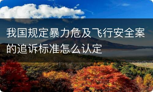 我国规定暴力危及飞行安全案的追诉标准怎么认定