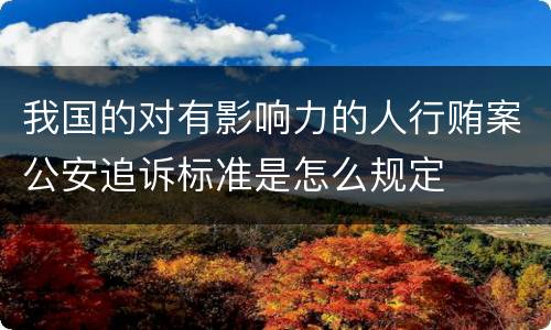 我国的对有影响力的人行贿案公安追诉标准是怎么规定