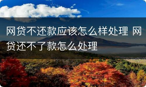 网贷不还款应该怎么样处理 网贷还不了款怎么处理