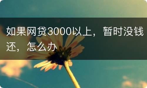 如果网贷3000以上，暂时没钱还，怎么办