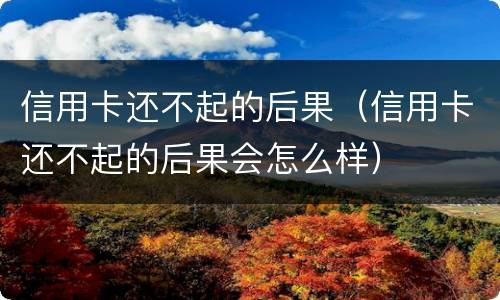 信用卡还不起的后果（信用卡还不起的后果会怎么样）