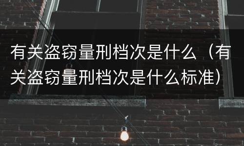 有关盗窃量刑档次是什么（有关盗窃量刑档次是什么标准）