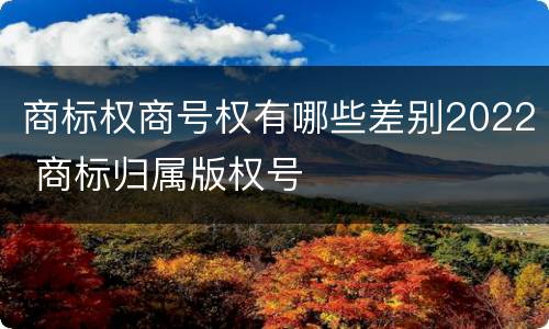商标权商号权有哪些差别2022 商标归属版权号