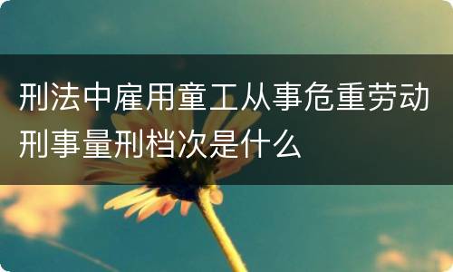 刑法中雇用童工从事危重劳动刑事量刑档次是什么