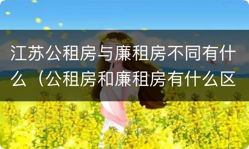 江苏公租房与廉租房不同有什么（公租房和廉租房有什么区别,哪个更好点）