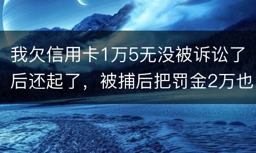 我欠信用卡1万5无没被诉讼了后还起了，被捕后把罚金2万也给了，什么时候放人呀