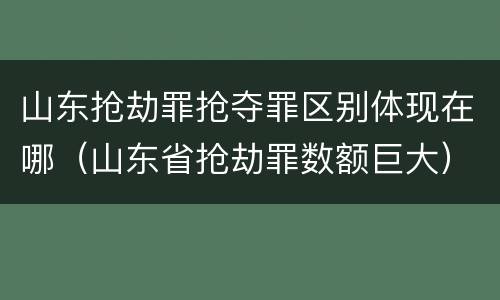 山东抢劫罪抢夺罪区别体现在哪（山东省抢劫罪数额巨大）
