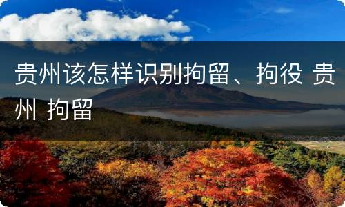贵州该怎样识别拘留、拘役 贵州 拘留