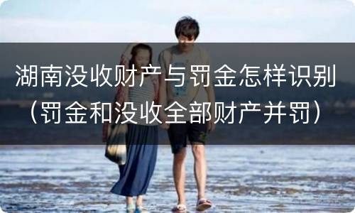 湖南没收财产与罚金怎样识别（罚金和没收全部财产并罚）
