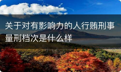 关于对有影响力的人行贿刑事量刑档次是什么样