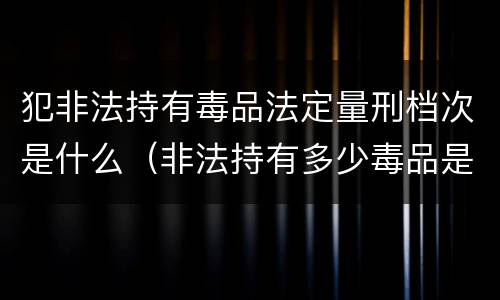 犯非法持有毒品法定量刑档次是什么（非法持有多少毒品是刑事犯罪）