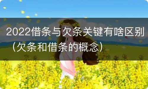 2022借条与欠条关键有啥区别（欠条和借条的概念）