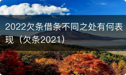 2022欠条借条不同之处有何表现（欠条2021）