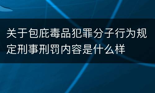 关于包庇毒品犯罪分子行为规定刑事刑罚内容是什么样